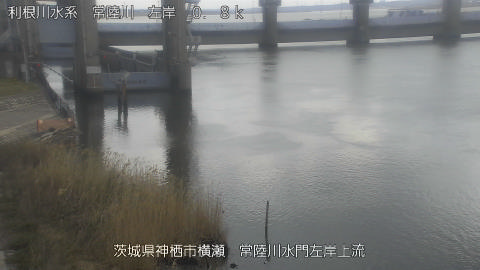 hitasa2026030712_image