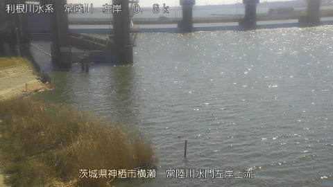 hitasa2026030812_image