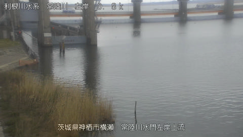 hitasa2026030912_image