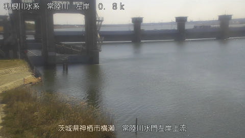 hitasa2026031212_image