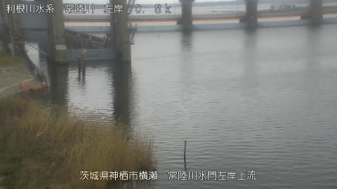 hitasa2026031612_image