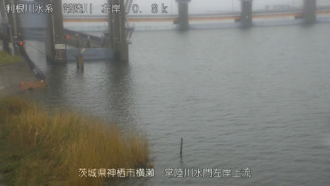 hitasa2026031910_image