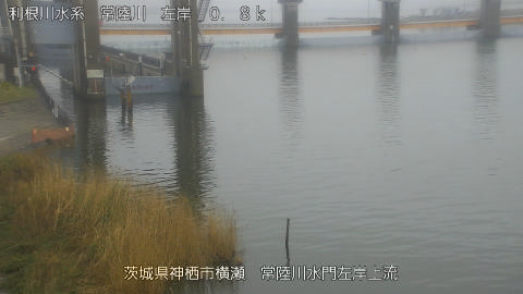 hitasa2026031911_image