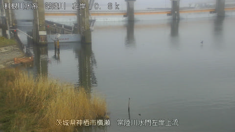 hitasa2026031912_image