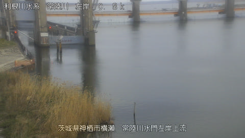 hitasa2026031917_image