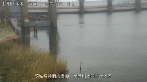 hitasa2026032008_image