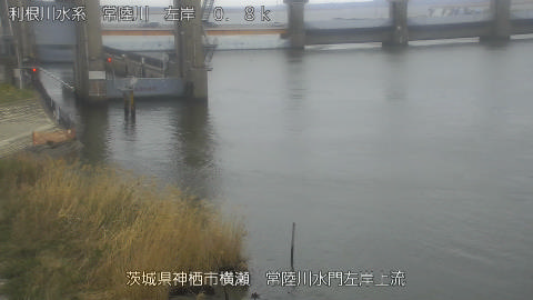 hitasa2026032011_image