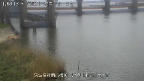 hitasa2026040612_image