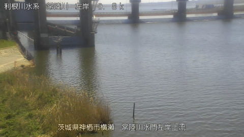 hitasa2026040812_image