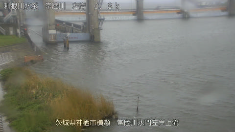 hitasa2026041012_image