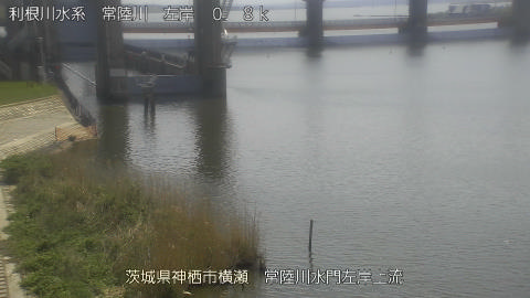 hitasa2026041112_image