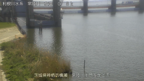 hitasa2026041212_image