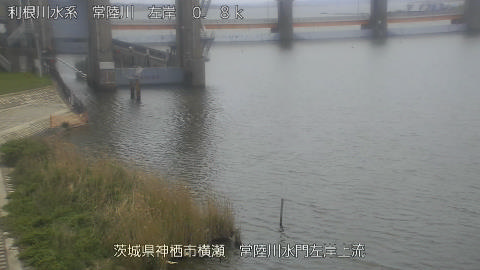 hitasa2026041312_image