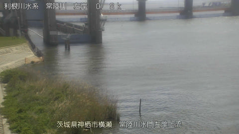 hitasa2026041612_image