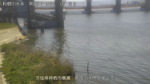 hitasa2026041912_image