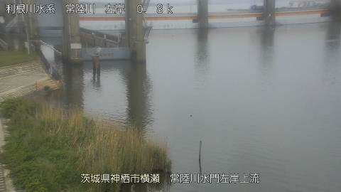 hitasa2026042312_image