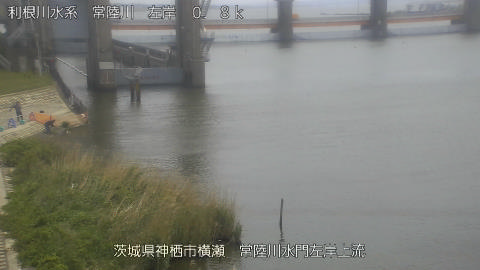 hitasa2026042412_image
