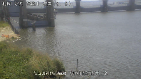 hitasa2026050212_image