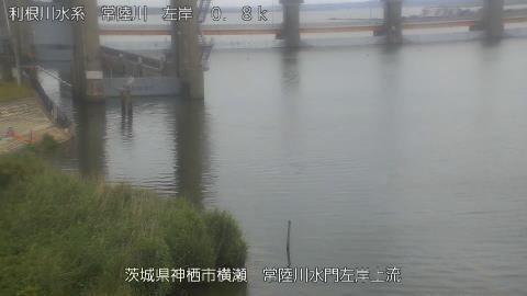hitasa2026052912_image