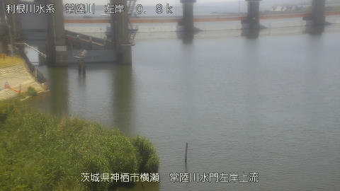 hitasa2026060112_image