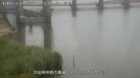 hitasa2026060912_image