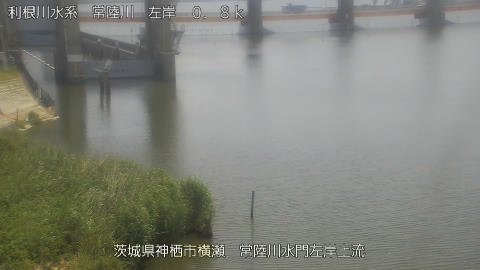 hitasa2026061112_image