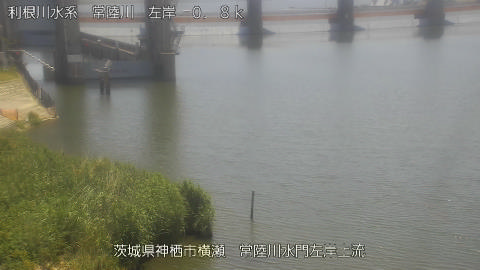 hitasa2026061212_image