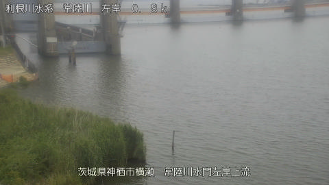 hitasa2026061412_image