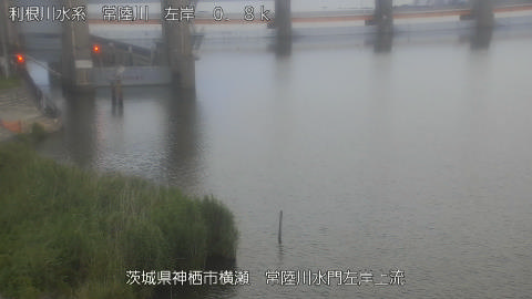 hitasa2026061619_image