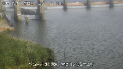 hitasa2026061716_image