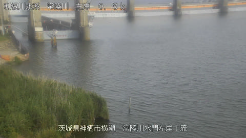 hitasa2026061717_image