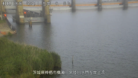 hitasa2026061719_image