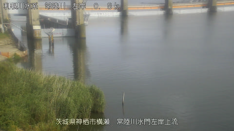 hitasa2026061816_image