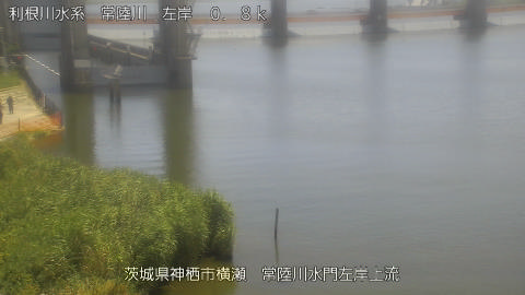 hitasa2026070812_image