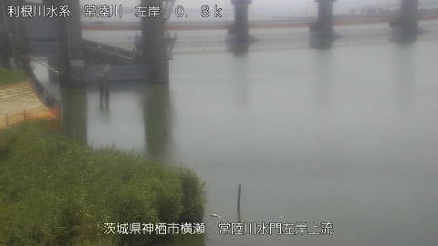 hitasa2026080112_image