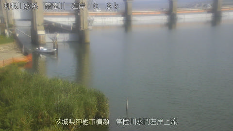 hitasa2026080116_image
