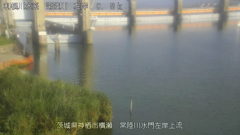 hitasa2026080117_image