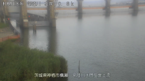 hitasa2026080118_image