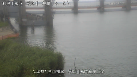 hitasa2026080209_image