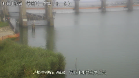 hitasa2026080216_image