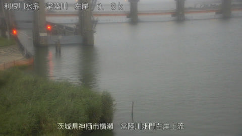 hitasa2026080219_image