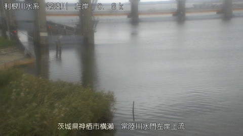 hitasa2026100212_image