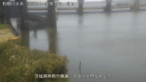 hitasa2026100312_image
