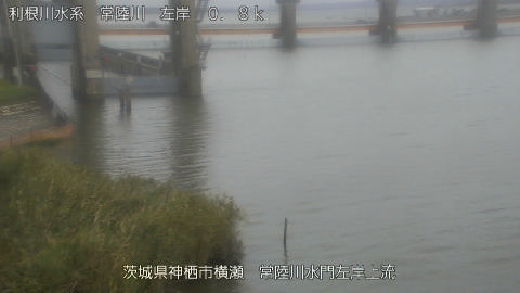 hitasa2026100512_image