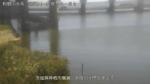 hitasa2026100912_image