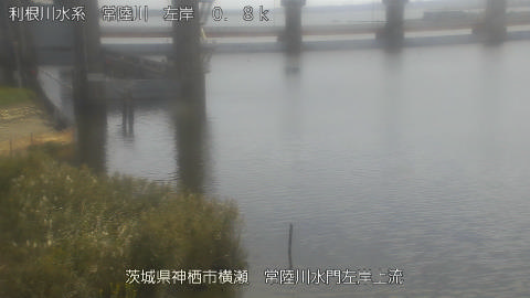 hitasa2026101612_image