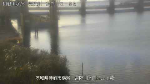 hitasa2026102307_image
