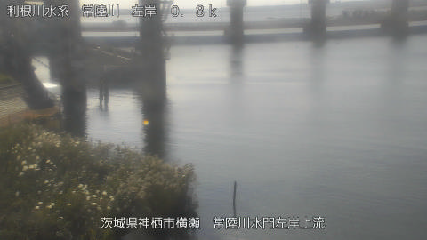 hitasa2026102309_image