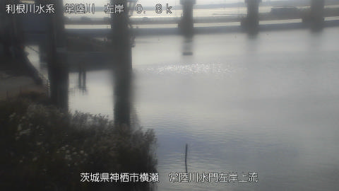 hitasa2026102310_image