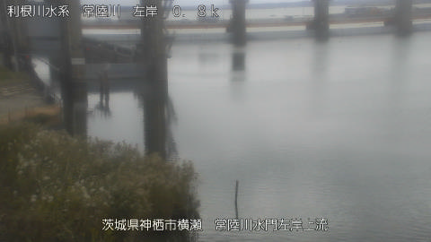 hitasa2026102313_image